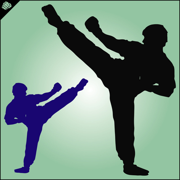 Karate. Taekwon-do. kyokushinkai. Kampfkunst. - Vektor, Bild