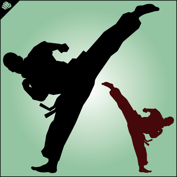 Karate. Taekwon-do. Kyokushinkai. Martial Art. - Vector, afbeelding