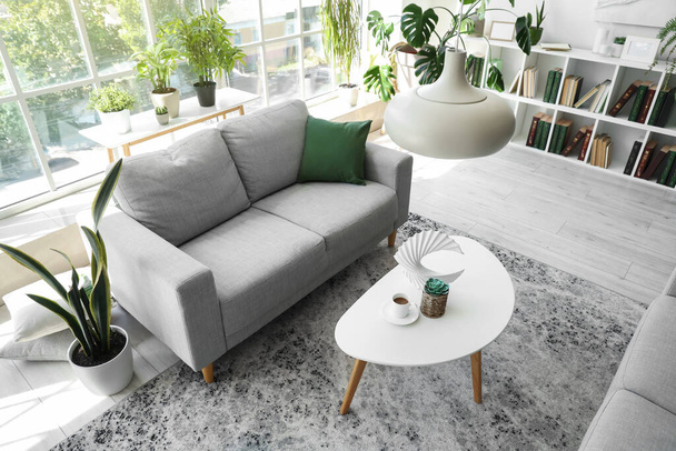 Belső tér a modern nappali szürke kanapéval, dohányzóasztal és szobanövények - Fotó, kép
