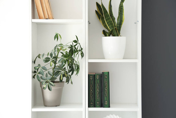 Police s knihami a pokojovými rostlinami v obývacím pokoji, detailní záběr - Fotografie, Obrázek