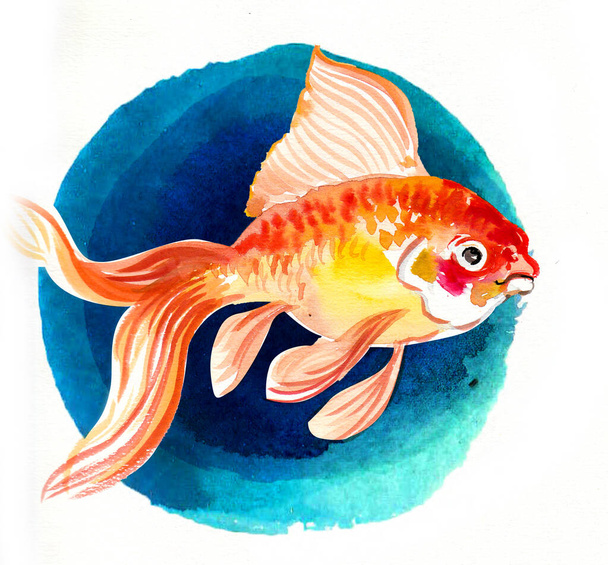 Goldener Fisch. Handgezeichnete Tusche und Aquarell-Skizze - Foto, Bild