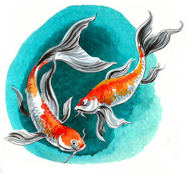 Párek koi ryb. Ručně kreslená kresba inkoustem a akvarelem - Fotografie, Obrázek