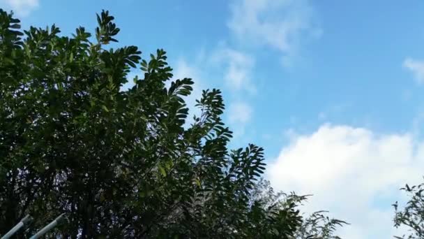 Güzel Mavi Gökyüzü Bulutlu açık güneşli bir günde - Video, Çekim