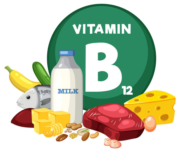 A colorful cartoon illustration of various fruits and vegetables rich in vitamin B12 - Vector, Image