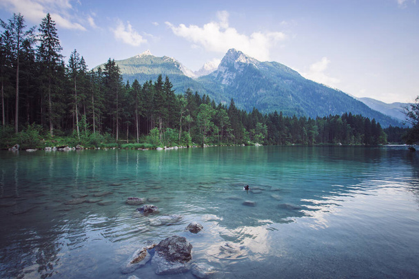 hegyi folyó az Alpokban - Fotó, kép