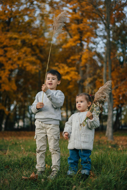 Hermano y hermana en un césped cubierto de hierba sosteniendo flores, niños felices en el verano en la naturaleza sonrisa. Niños felices en la naturaleza otoñal. - Foto, imagen