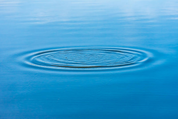 Diverging circles on the water surface of the lake. Outdoors. - Photo, Image