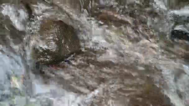 agua de perder fluye a través de un río con piedras de diferentes tamaños en él, río rocoso - Metraje, vídeo