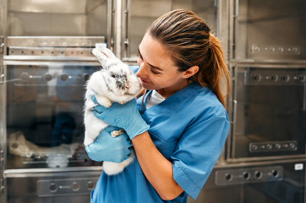Tierarzt in blauer Uniform führt im Büro einer modernen Tierklinik eine Routineuntersuchung eines Zierkaninchens durch. Behandlung und Impfung von Haustieren. - Foto, Bild