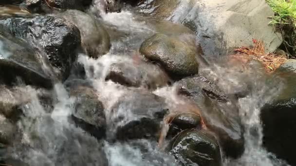 agua de perder fluye a través de un río con piedras de diferentes tamaños en él, río rocoso - Metraje, vídeo