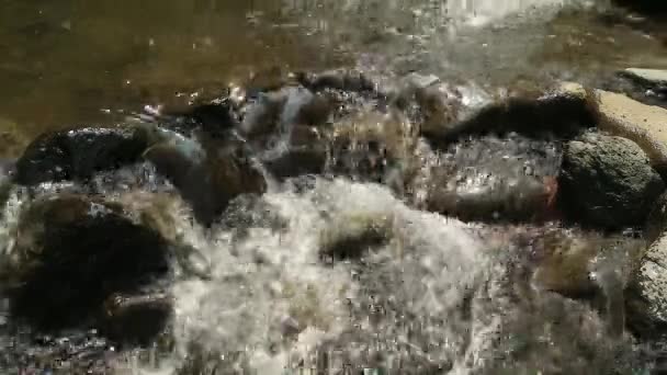 ztracená voda teče řekou s různými kameny v ní, skalnatá řeka - Záběry, video