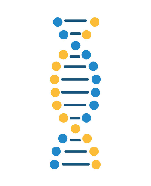 down syndrome dna molecule illustration isolated - Vector, Image