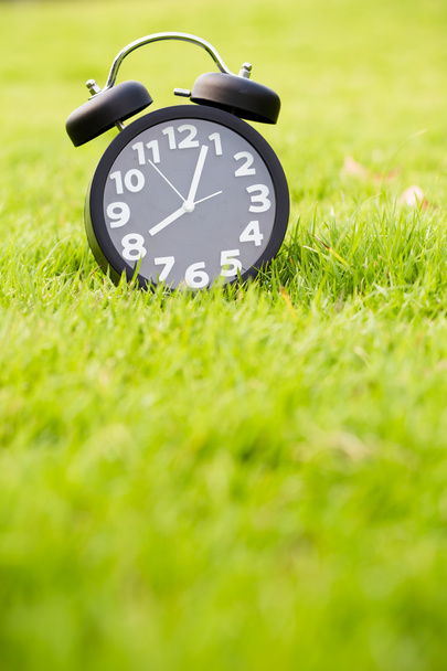 Clock on grass - Photo, Image