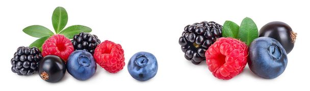 mix of blackberry blueberry raspberry with leaf isolated on white background - Photo, Image