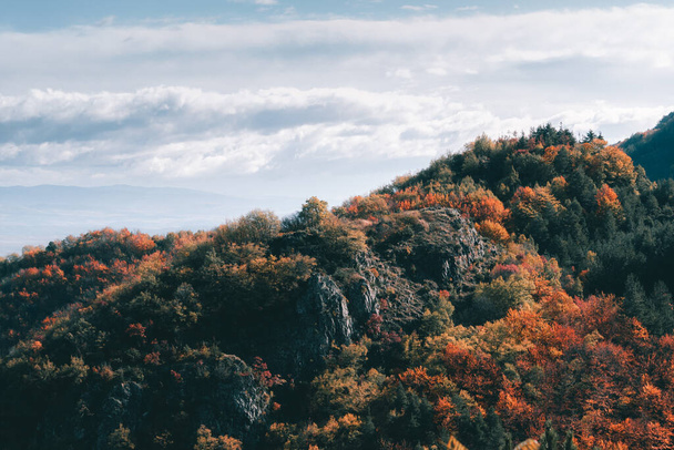Krásná krajina skal a spousta živých stromů s oblačným pozadím. - Fotografie, Obrázek