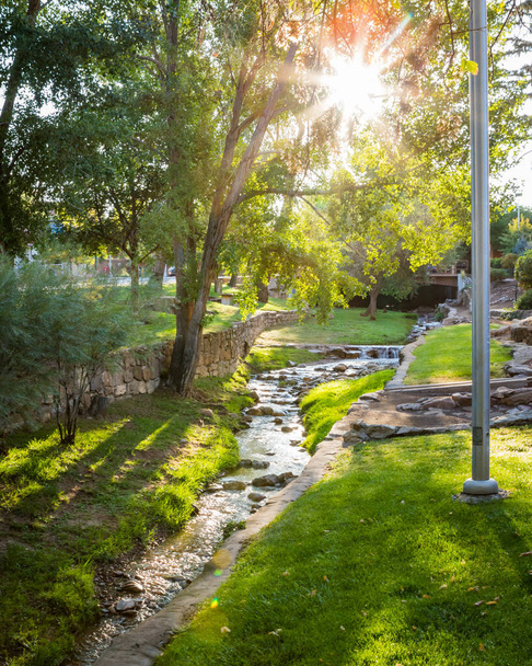 Вертикальное фото мирного парка с ручьем, травой и деревьями, прекрасно освещенными солнцем, дающее спокойную атмосферу. - Фото, изображение