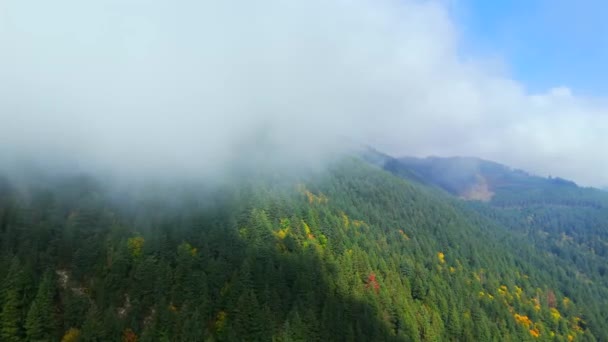 Kanada 'da göz kamaştırıcı sonbahar manzarası, British Columbia. Dağ yamaçlarındaki renkli ormanın ve bulutlu gökyüzünün havadan görünüşü.  - Video, Çekim