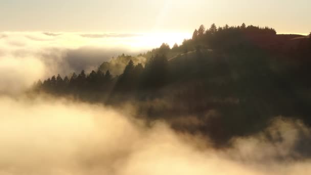 Esrarengiz sabah sisinde resim dağları, San Francisco Körfezi bölgesi, California, batı kıyısı, ABD. Bulutları çevreleyen yeşil tepelerin insansız hava aracı görüntüleri. Güneş ışınları gündoğumunda ağaç tepelerini aydınlatıyor, 4k görüntü - Video, Çekim