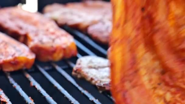 Gegrilde varkensbuik in marinade.Vlees draait om op de grill.Lekker gebakken varkensvlees.BBQ en Grill.Grilled vlees. Picknick buiten met gegrild vlees. 4k-beelden - Video