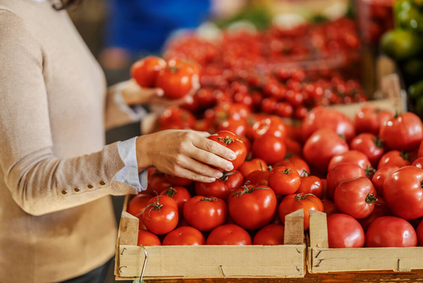 Hand selecting fresh organic tomato at local marketplace. - Foto, afbeelding