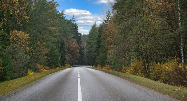 Dwupasmowa droga asfaltowa biegnąca prosto przez las, po obu stronach drogi, drzewa w odcieniach zieleni i żółtawości, co sugeruje, że sezon jest jesienią - Zdjęcie, obraz
