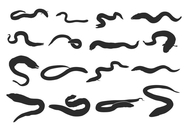 Eel fish silhouette, Moray eel fish silhouette, European eel silhouette, Moray eel fish svg, Eel fish svg, Eel fish vector. - Vector, Image