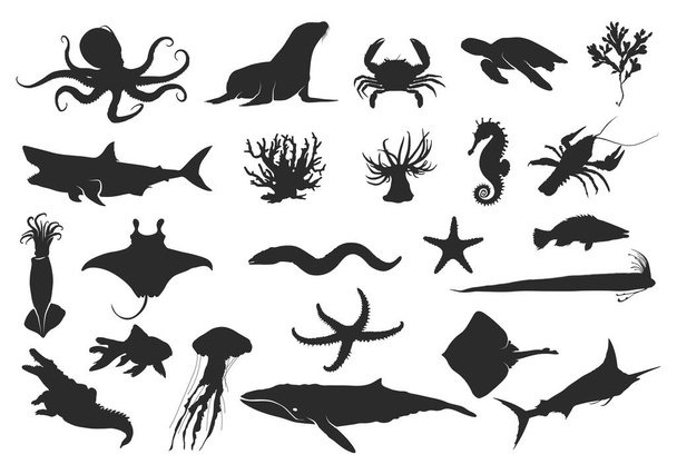 Zeedierlijk silhouet, Oceaandierlijk silhouet, Zwarte silhouetten van vissen, zeepaardjes, schelpen, octopussen, pijlinktvissen, kwallen, dolfijnen, zeesterren, schildpadden, haaien, walvissen, krabben, zeehonden, paling en roggen, Zeedier svg, Dier vector clipart, Zeeleven. - Vector, afbeelding