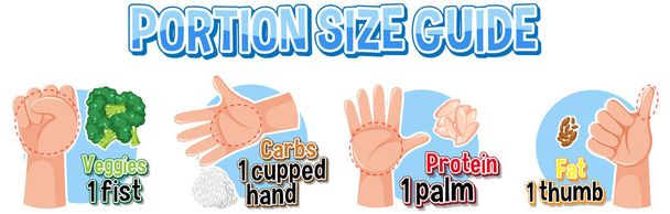 Comparing food amounts using hand portion size guide - Vector, Image