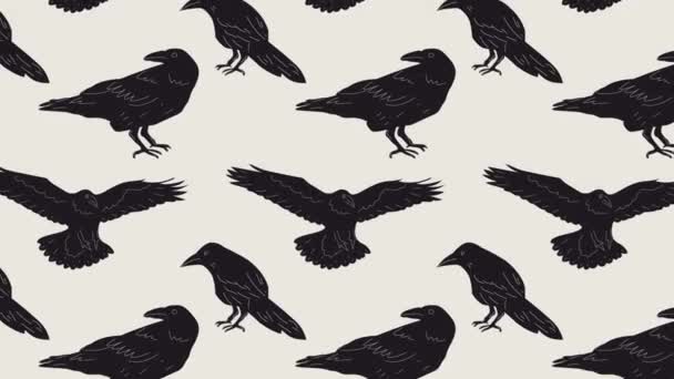 Zwarte raaf of kraai vogels lus achtergrond. Video platte cartoon animatie design element. 4K-videobeelden  - Video