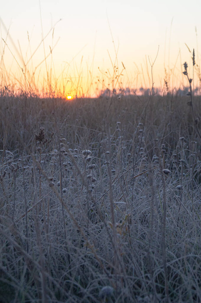 曇った牧草地の上に明るい日差しが広がり,曇り空の刃が夜明けの柔らかい光をキャッチします.最初の日差しは氷山を横切って黄金の渦を切ります.  - 写真・画像