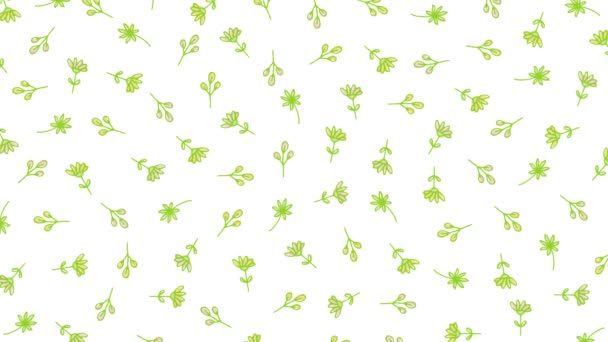 small flowers pattern background (8 seconds loop) - Footage, Video