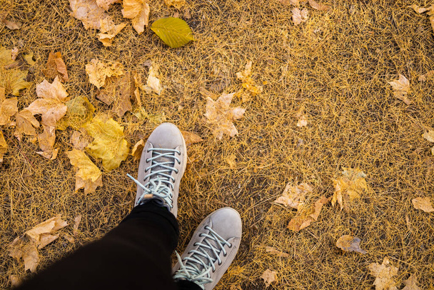 Vista superior de la persona anónima de la cosecha en botas de pie en el suelo cubierto con hojas amarillas caídas - Foto, Imagen