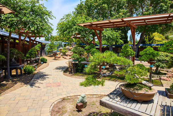 Imagen de jardín bonsái japonés con magnífico camino de piedra sinuosa y ambiente tranquilo y sereno - Foto, imagen