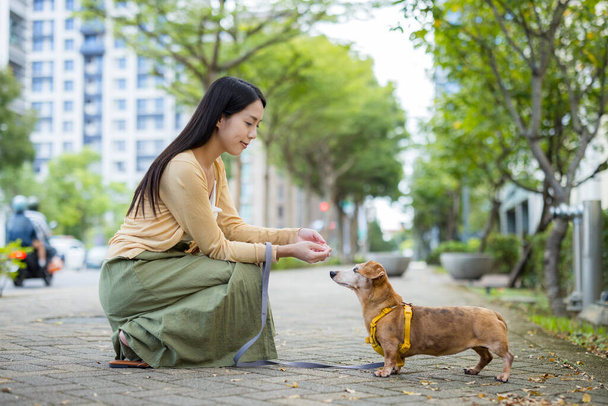 Donna nutrire il suo cane con spuntino in strada - Foto, immagini