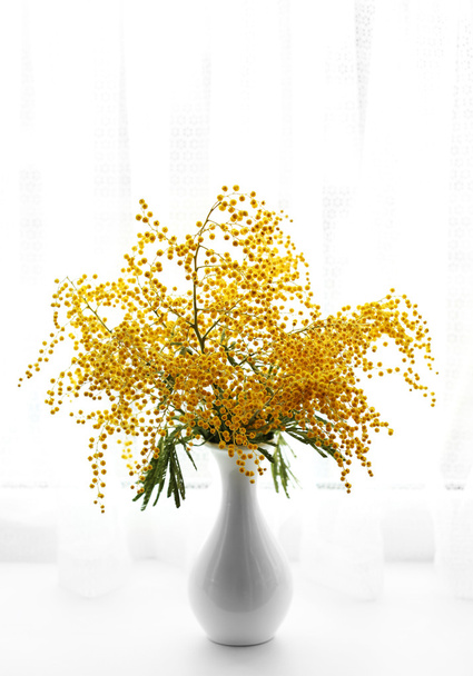Beautiful sprigs of mimosa in vase on windowsill - Foto, afbeelding
