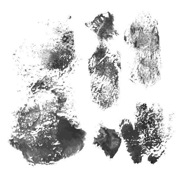 Черные векторные отпечатки и мазки красят на белой бумаге
 - Вектор,изображение
