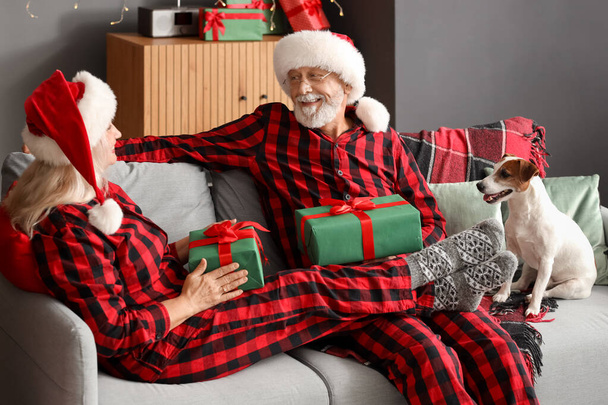 Счастливая зрелая пара с рождественскими подарками и Джек Рассел терьер дома - Фото, изображение