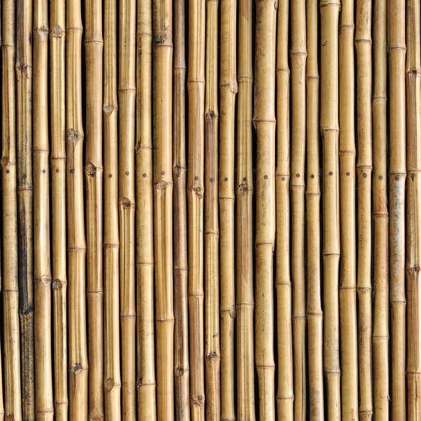 bambusowy płot tło - Zdjęcie, obraz