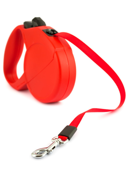 Red retractable leash for dog - Fotó, kép