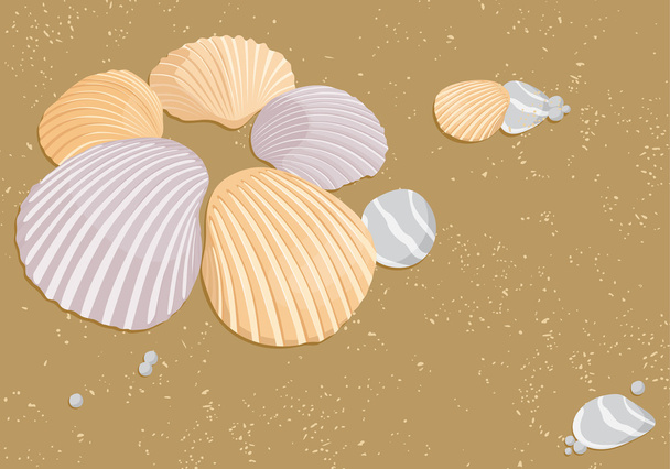 Vector seashells - Vektor, obrázek