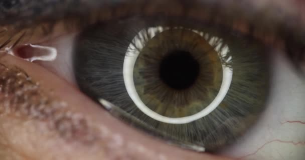 Closeup de belo cinza verde olho feminino filme 4k. Conceito de identificação da córnea - Filmagem, Vídeo
