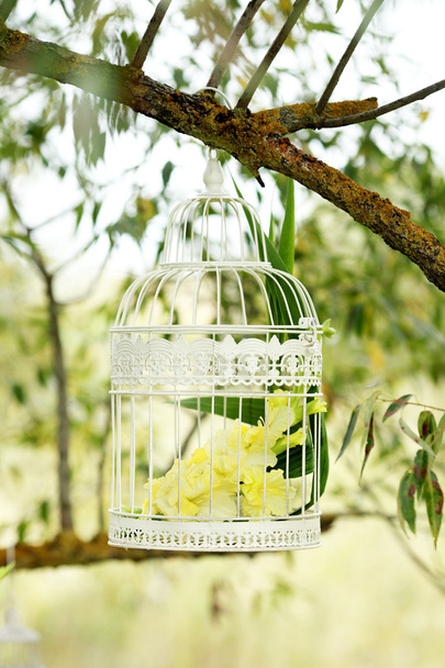 Gladiolo amarillo en el cadge
 - Foto, Imagen