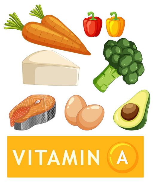 Illustration of various nutritious foods rich in vitamin A - Vector, Image