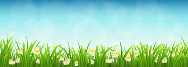 Πράσινο γρασίδι, λουλούδια και το γαλάζιο του ουρανού - Διάνυσμα, εικόνα