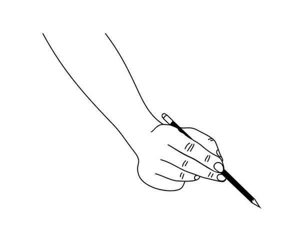 Hand holding pencil. Human arm with writing tool. Line art drawing , Black monochrome outline Vector illustration isolated on white background. Hand drawn icon. - Vector, Image