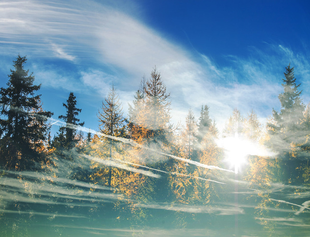 Podwójnej ekspozycji jesienny treescape i cloudscape - Zdjęcie, obraz