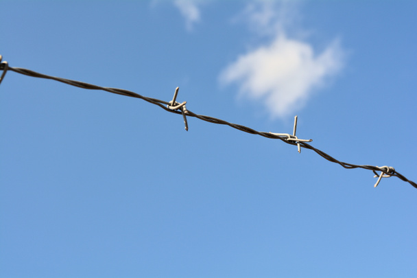 drut kolczasty - Zdjęcie, obraz