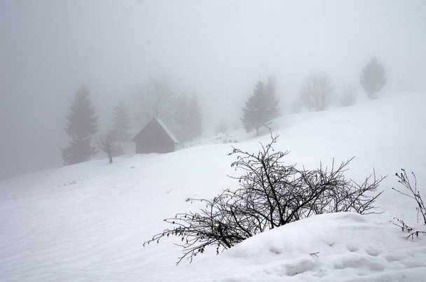 Ομίχλη στα βουνά το χειμώνα. Επιλεκτική εστίαση. Θολή φόντο. - Φωτογραφία, εικόνα