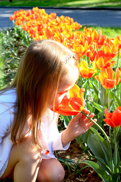 niña huele tulipanes en el lecho de flores
 - Foto, Imagen