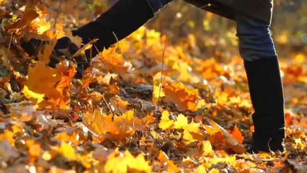Nohy dívka na podzimní listí - Záběry, video